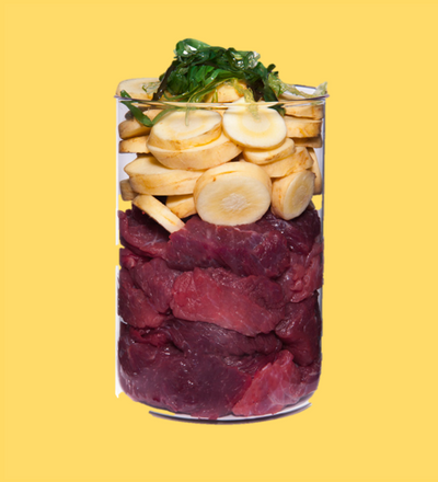 テラカニス　ハイポ　オーストリッチ　400g