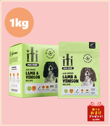 iti　イティ　ドッグ　ラム＆ベニソンディナー　1kg【200g×5】
