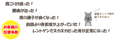 プライムケイズ　カルシウムパウダー　30g