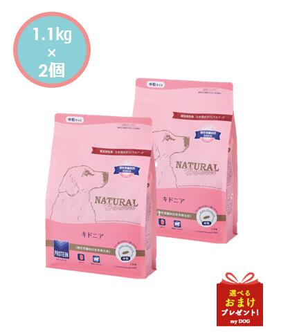 ナチュラルハーベスト　キドニア　1.1kg×2個　腎臓ケア用食事療法食ドッグフード
