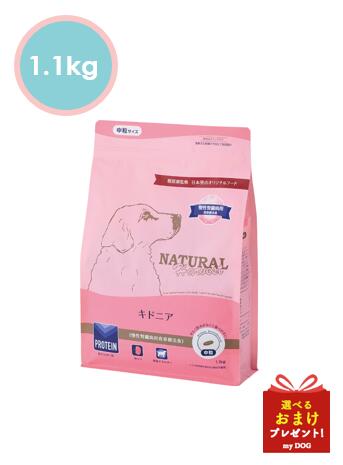 ナチュラルハーベスト　キドニア　1.1kg　腎臓ケア用食事療法食ドッグフード
