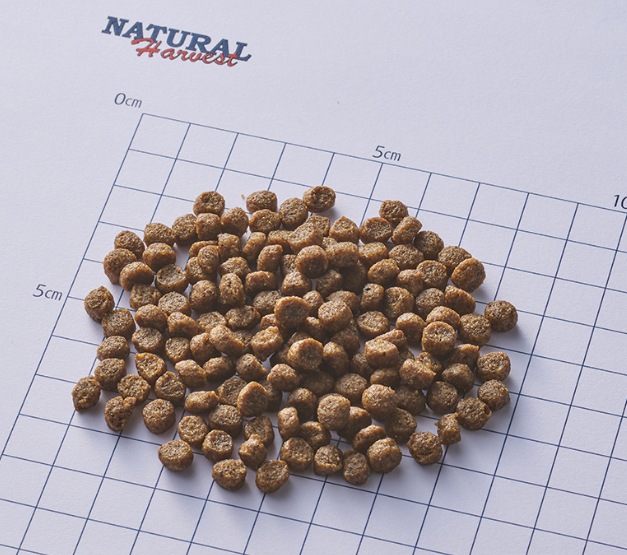 ナチュラルハーベスト　キドニア　1.1kg×6個　腎臓ケア用食事療法食ドッグフード