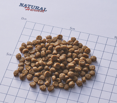 ナチュラルハーベスト　キドニア　1.1kg×2個　腎臓ケア用食事療法食ドッグフード