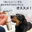 木曽檜ONE　犬用　デンタルケアジェル