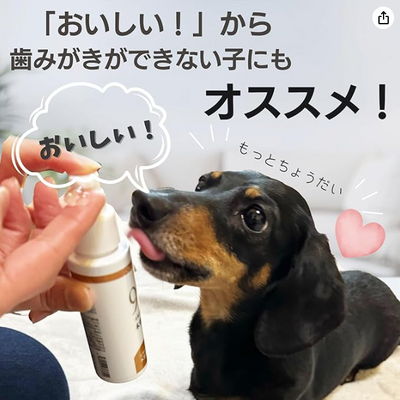 木曽檜ONE　犬用　デンタルケアジェル