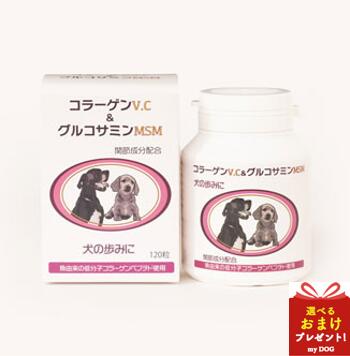 犬の歩みに　コラーゲンV.C＆グルコサミンMSM　120粒