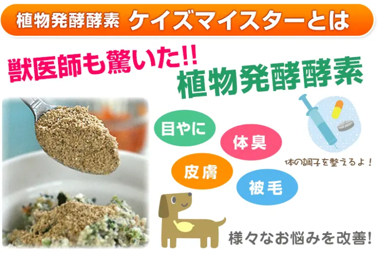 プライムケイズ　ケイズマイスター　30g