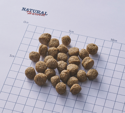 ナチュラルハーベスト　メンテナンス　ラム　大粒　1.1kg×2個