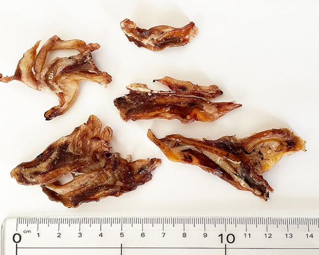 プライムケイズ　国産豚　なんこつくん　50g