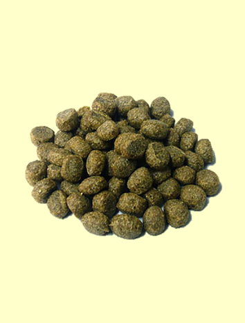 ドクターズチョイス　おいしい納豆菌　1.3kg