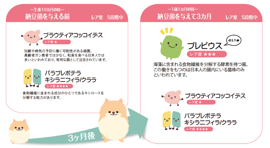 ドクターズチョイス　おいしい納豆菌　80g　