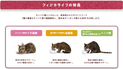 フィジカライフ　室内猫用　ひざ関節の健康維持用　チキン入り　500g