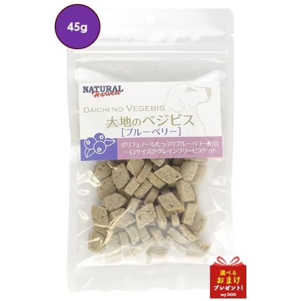 ナチュラルハーベスト　大地のベジビス　ブルーベリー　45g
