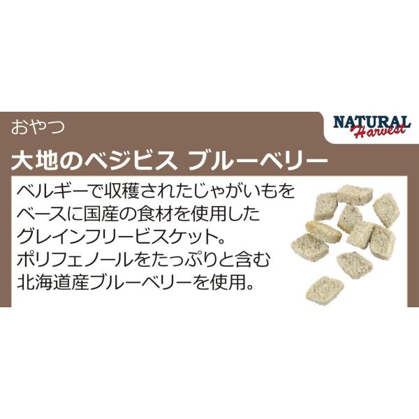 ナチュラルハーベスト　大地のベジビス　ブルーベリー　45g