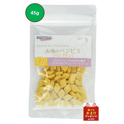ナチュラルハーベスト　大地のベジビス　パンプキン　45g