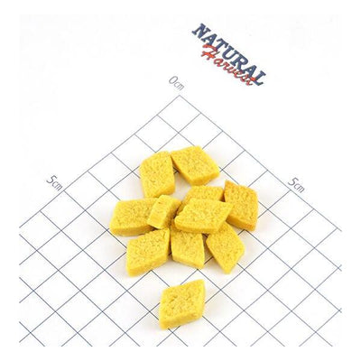 ナチュラルハーベスト　大地のベジビス　パンプキン　45g