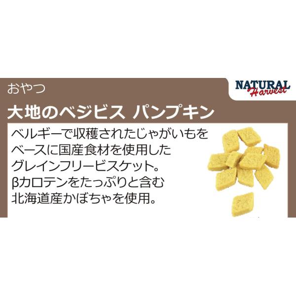 ナチュラルハーベスト　大地のベジビス　パンプキン　45g