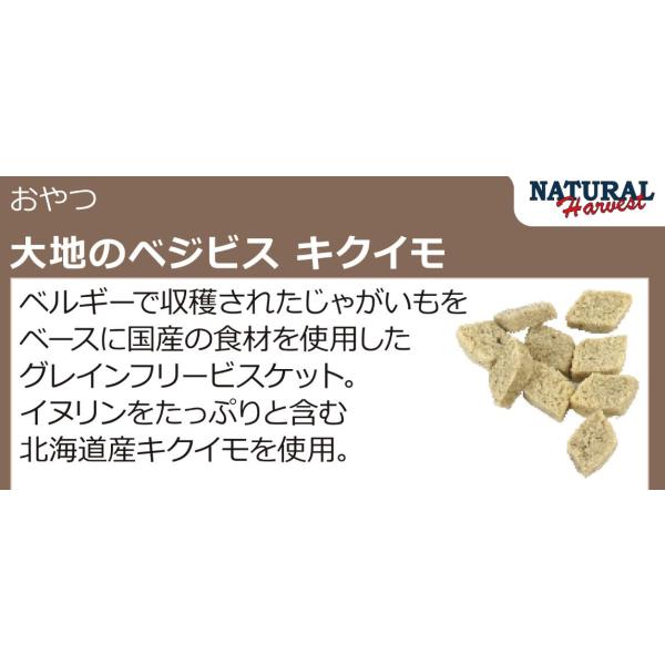 ナチュラルハーベスト　大地のベジビス　キクイモ　45g