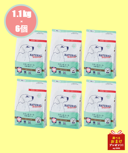 ナチュラルハーベスト　スキン＆コート　1.1kg×6袋