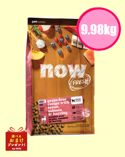 NOW FRESH (ナウフレッシュ)　グレインフリー　フィッシュアダルト　9.98kg