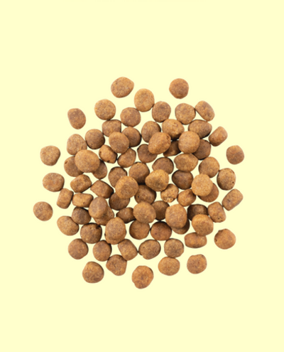 NOW FRESH (ナウフレッシュ)　グレインフリー　フィッシュアダルト　9.98kg