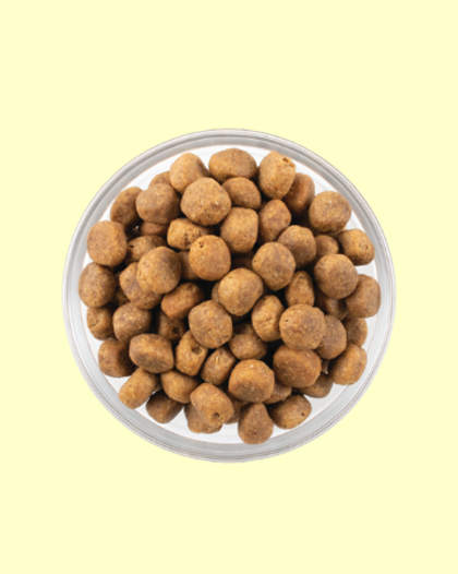 NOW FRESH (ナウフレッシュ)　グレインフリー　フィッシュアダルト　9.98kg