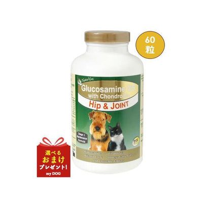 ネイチャーベット　グルコサミンDS　60粒