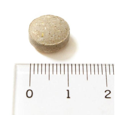 ネイチャーベット　イースト＆ガーリックWithリノール酸　500粒