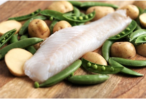 フィッシュ4　ドッグ　パピー　コンプリート　6kg　【ティドラ15gおまけ付き】