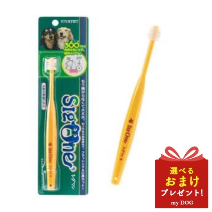 シグワン　360°　ハブラシ　小型犬用　犬用