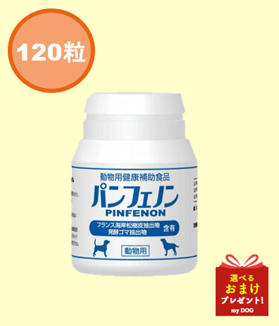 パンフェノン　120粒