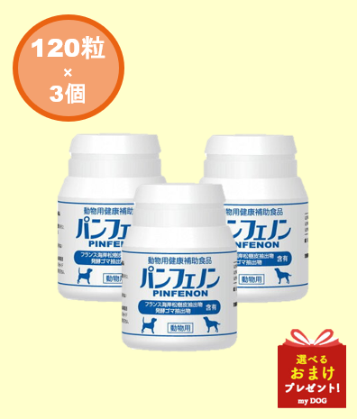 パンフェノン　3個セット