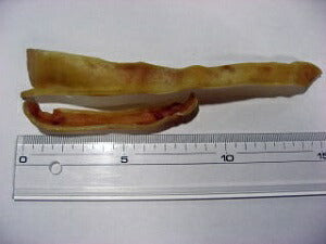 プライムケイズ　国産豚　豚耳ＧＵＭＧＵＭ　60g