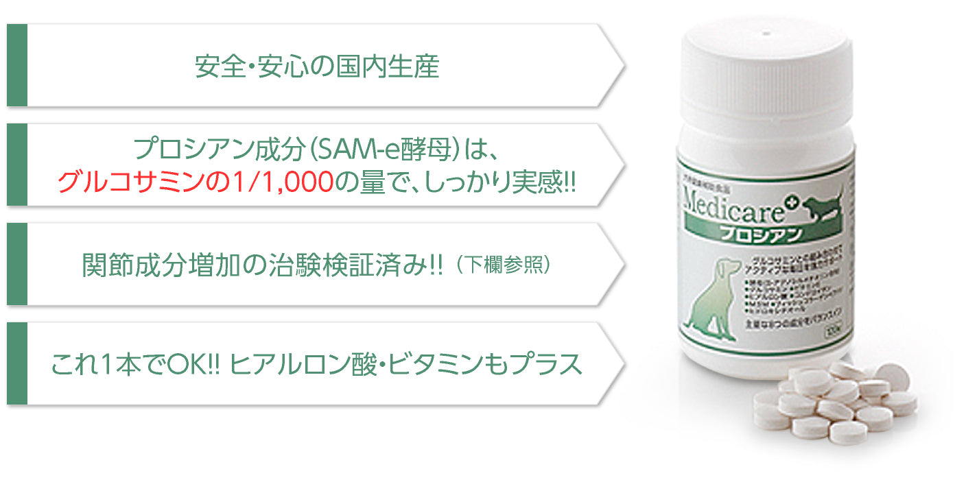 アマナグレイス　メディケア　プロシアン　120粒　×3個セット