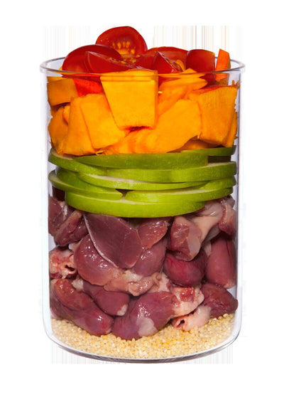 テラカニス　パピーチキン　400ｇ