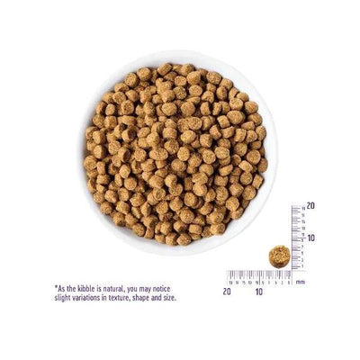 ウェルネス　ヘルシーバランス　子猫用　グレインフリー　骨抜きチキン　1.2kg　【お取り寄せ】