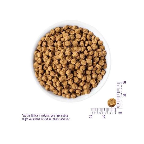 ウェルネス　ヘルシーバランス　子猫用　グレインフリー　骨抜きチキン2.8kg　【お取り寄せ】