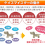 プライムケイズ　ケイズマイスター　プレミアム　100g
