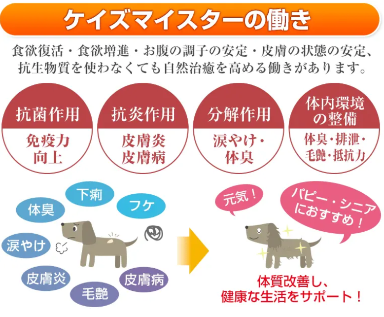 プライムケイズ　ケイズマイスター　プレミアム　100g