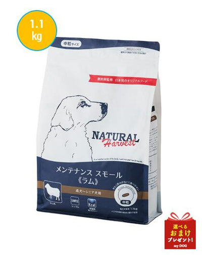 ナチュラルハーベスト　メンテナンススモール　ラム　1.1kg