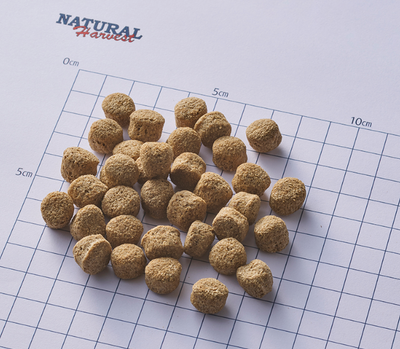 ナチュラルハーベスト　レジーム　チキン　大粒　(旧レジーム）　5kg