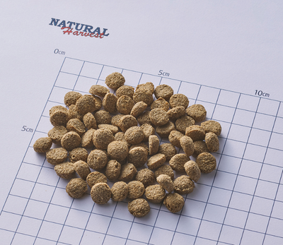 ナチュラルハーベスト　レジーム　スモール　ラム　1.1kg×2個