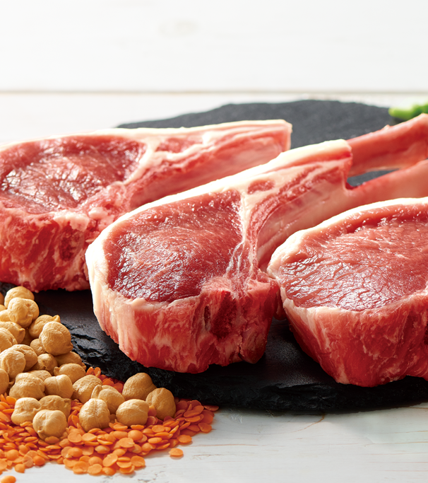 リガロ　ハイプロテインレシピ　ラム　子犬・成犬用　3.6kg