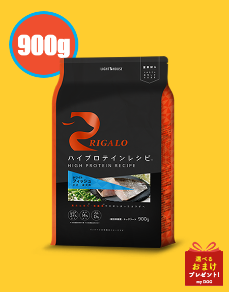 リガロ　ハイプロテインレシピ　フィッシュ　子犬・成犬用　900g