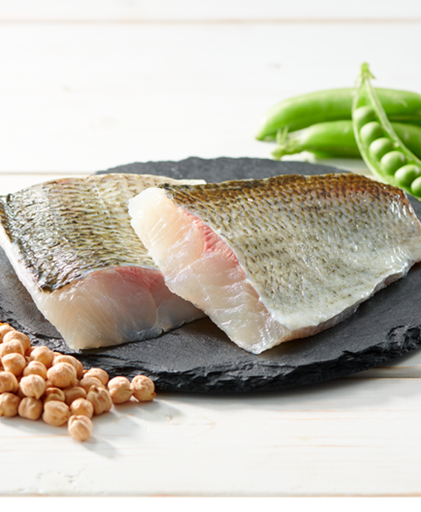 リガロ　ハイプロテインレシピ　フィッシュ　子犬・成犬用　1.8kg