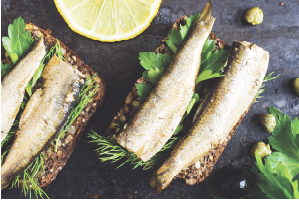 フィッシュ4　ドッグ　サーディン　12kg　【ティドラ15gおまけ付き】