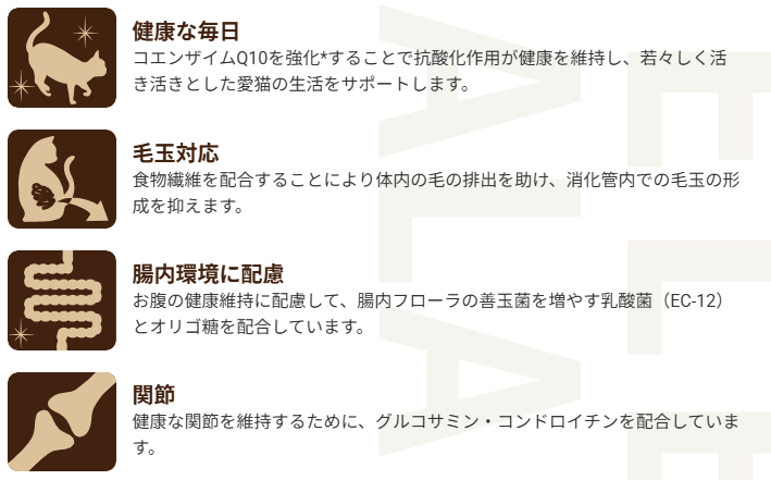 セレクトバランス　グレインフリー　猫　エイジングケア　チキン　1.6kg