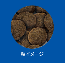 セレクトバランス　アダルト　ラム　小粒　7kg