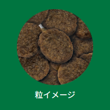 セレクトバランス　エイジングケア　ラム　小粒　7kg