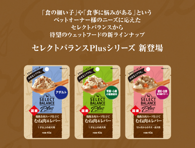 セレクトバランスplus　鶏挽き肉スープ仕立て むね肉＆レバー 腎臓・心臓の健康維持/ 1才以上の成犬用　40g×10パック